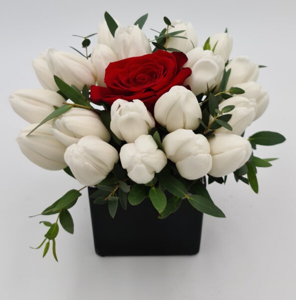 Feature image